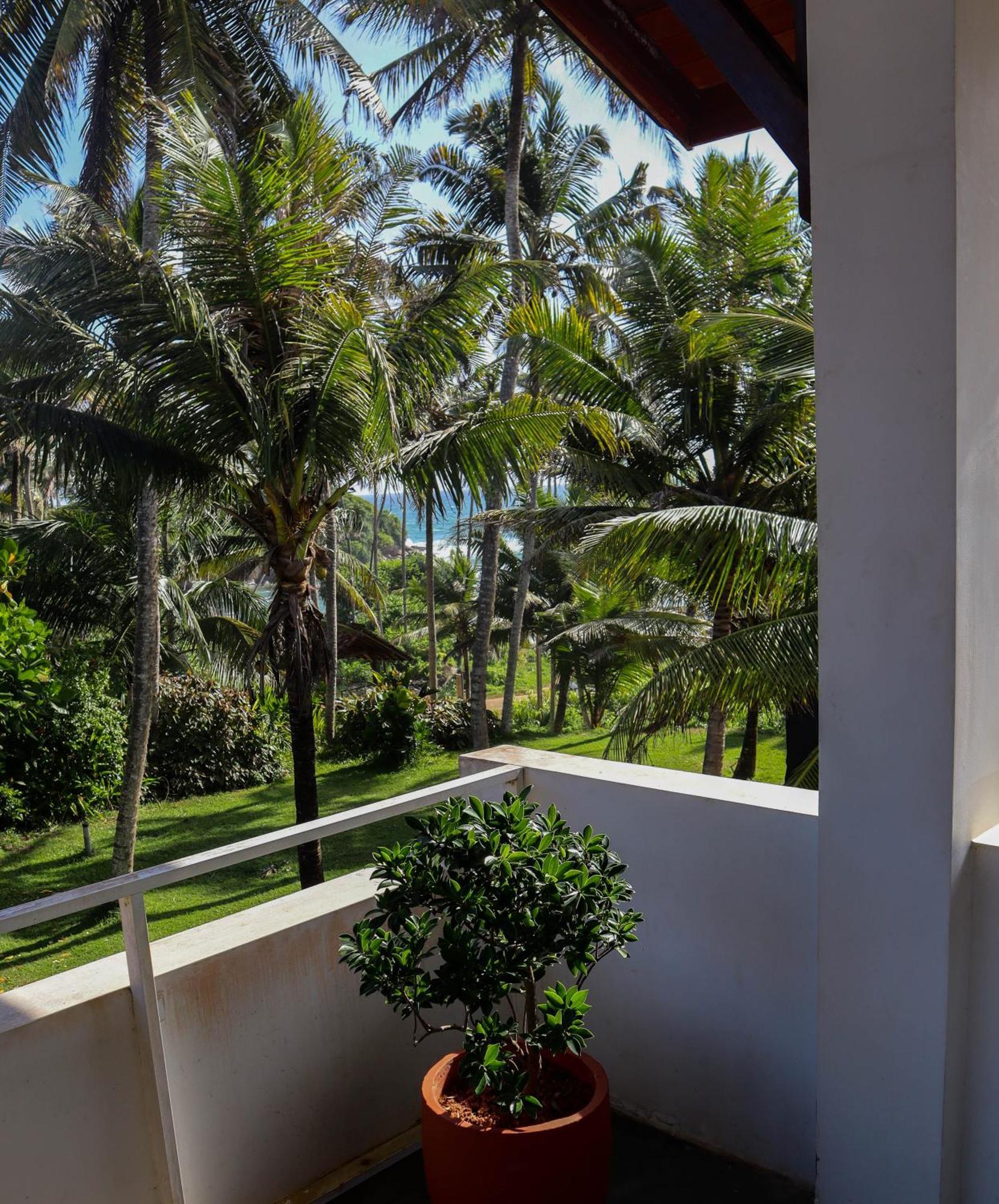 Singhe House Hotel Dickwella Exterior photo